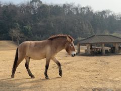 -杭州野生动物世界