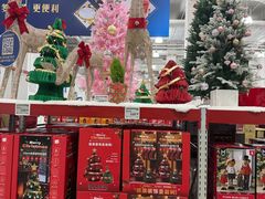 -山姆会员商店(上海浦东店)