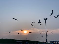 -海味当家·蒸锅海鲜(星海公园店)