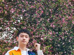 -铁山坪森林公园