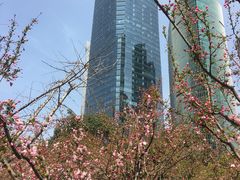 -陆家嘴中心绿地
