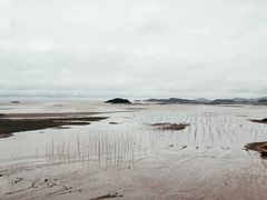 -北岐滩涂
