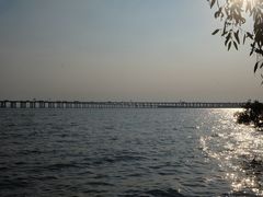 -宝安西湾红树林湿地公园