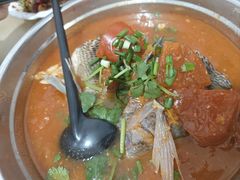 -风鑫铃罗非鱼(道沟店)