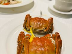 -阳澄湖费尔蒙酒店颐丰阁中餐厅(马鞍山西路店)