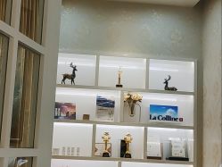 -YESIDO椰岛美容