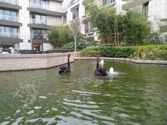 -行者书屋大堂吧 ·下午茶(南京圣和府邸酒店)