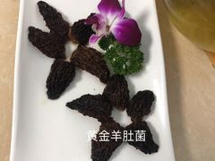 -墨脱石锅椰子鸡•香草鸭•东山羊(大东海店)
