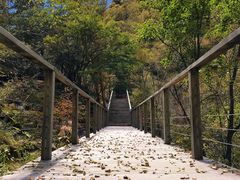 景点-叠溪松坪沟景区