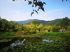 -龙寺生态园