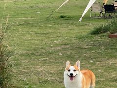 -omitofee咖啡(水泽店)