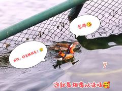 -什刹海
