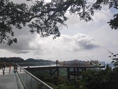 -亚龙湾热带天堂森林公园