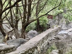 -少华山国家森林公园