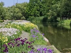 -上海共青森林公园