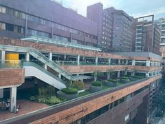 -香港大学