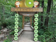 -大岭沟猕猴桃谷风景区