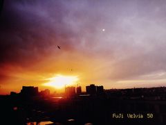 -苹果树下艺术餐厅(通州店)