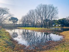 -西溪国家湿地公园