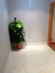 点击看大图 -Dr.林醫生产后修复·配方产康(南京江宁万达店)