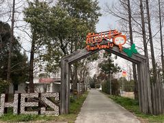 -上海长兴岛郊野公园