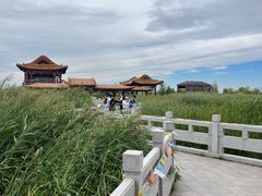 -哈素海