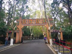 -灵谷景区