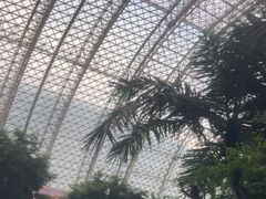 -环球中心海洋乐园