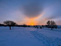 -塞罕坝国家级自然保护区