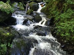 -凤凰山国家森林公园