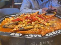 -撒拉花儿·新疆菜·清真(太阳宫店)