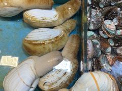 -御满江海鲜酒家(洛溪新城店)