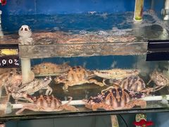 花蟹-浔埔人海鲜楼