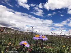 -比如骷髅墙景区