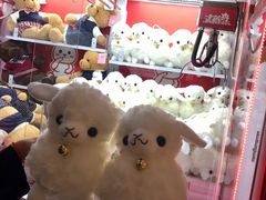 -金光华广场