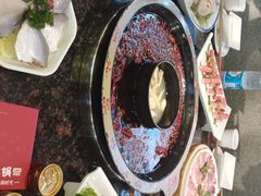 -一斗火锅·招财羊毛肚(上河城店)