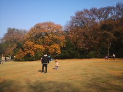 -东湖磨山景区