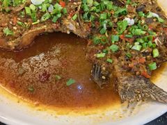 -草墩罗非鱼庄•野生菌•腊排骨(七星街上段店)