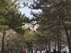 -藏山旅游风景区