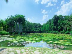 -中国科学院西双版纳热带植物园