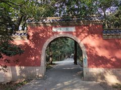 -灵谷景区