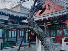 -莲池书院博物馆