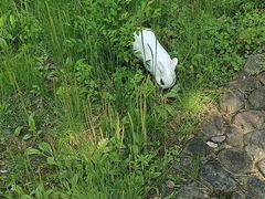 -白塘生态植物园