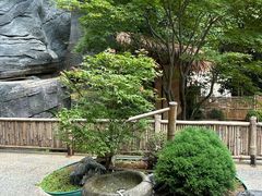 -汤家茗苑·精致私房菜(白沙店)