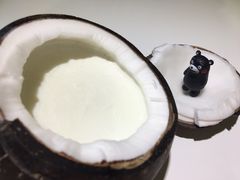 -志龙皇冠吃货椰子铺