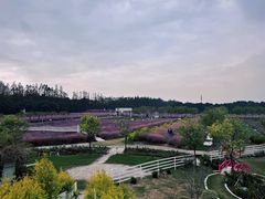 -嘉北郊野公园