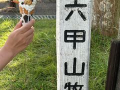 -神户市立六甲山牧场