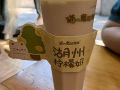 -猫的魔法密林(衣裳街店)