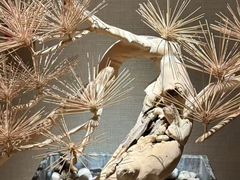 -浅深(北京北四环精品店)