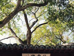 -秋霞圃